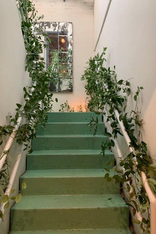 Wonderful Indoor Plants for the Stairs3