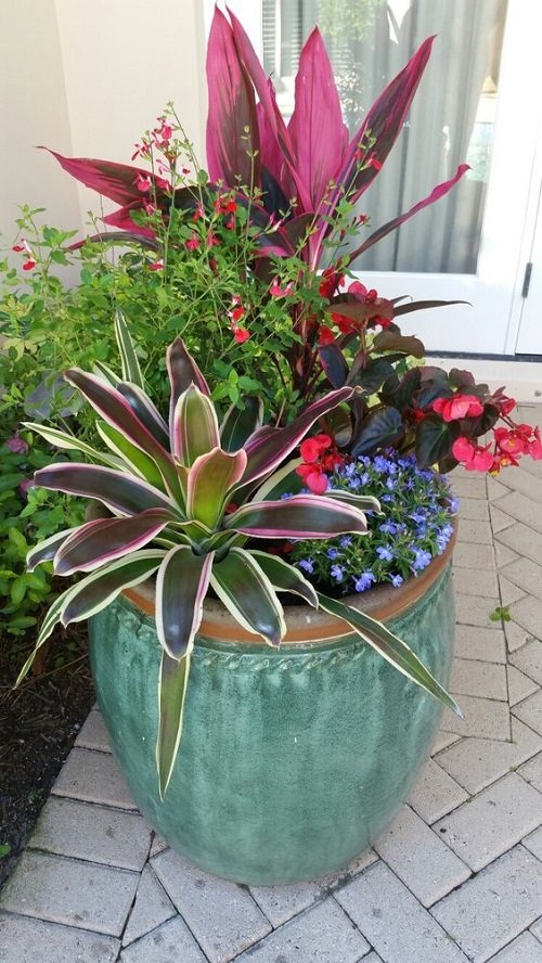 Purple Plant Ideas for Landscaping7