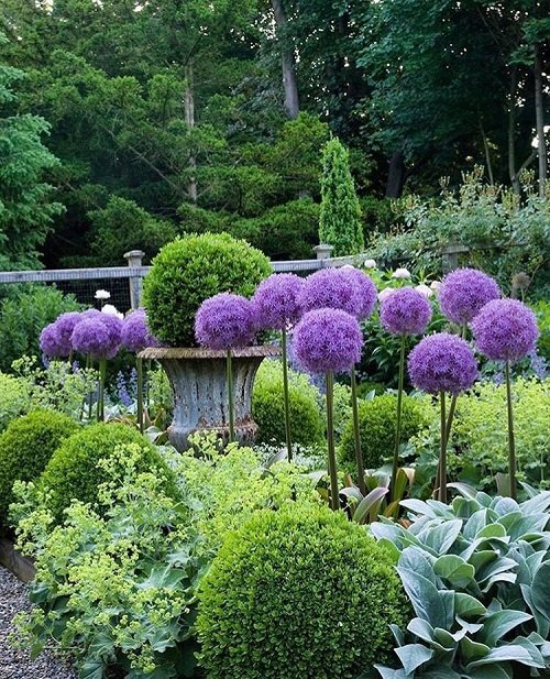 Landscape Designs with Purple Plants8