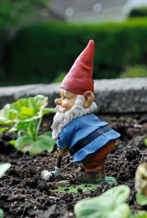 DIY Gnome Garden Ideas 10