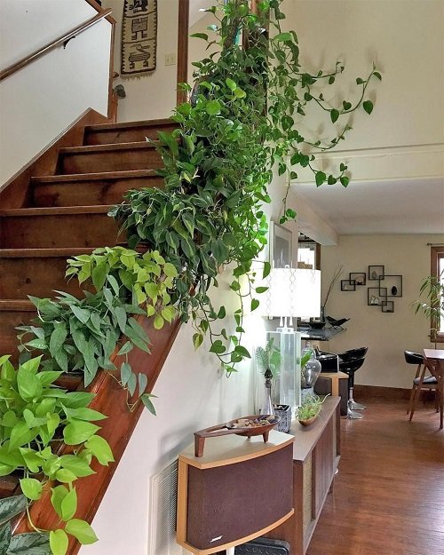Amazing Indoor Vines on the Staircase Ideas2