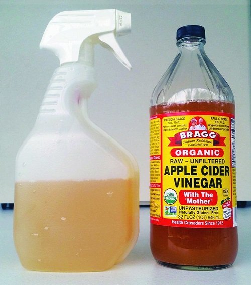 Using Apple Cider Vinegar for Pests 2