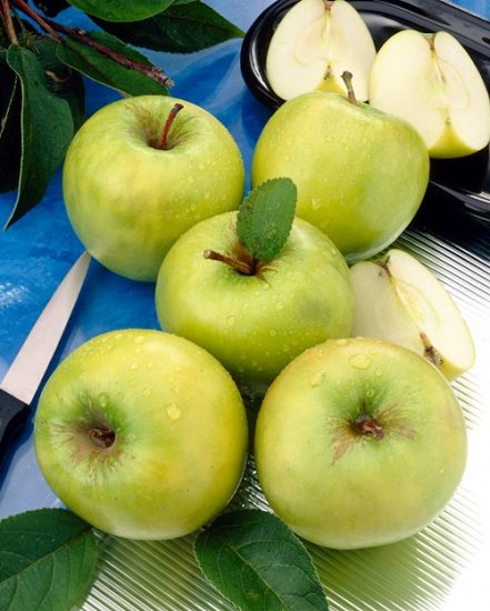 31 Different Types Of Green Apple Varieties Balcony Garden Web   Grenadier Apple2 441x550 