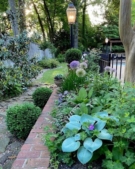 40 Eye Catching Plants For Curb Appeal