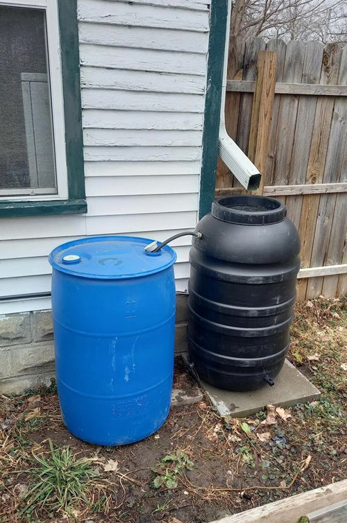 Install Rain Barrels/Water Butts