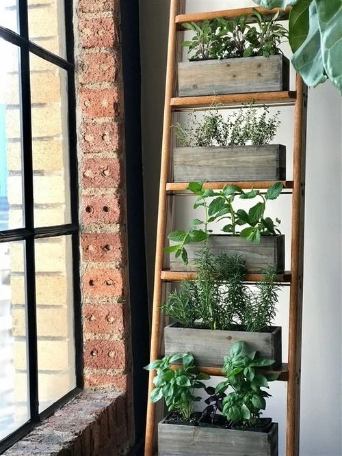 Ladder Herb Garden Ideas 12