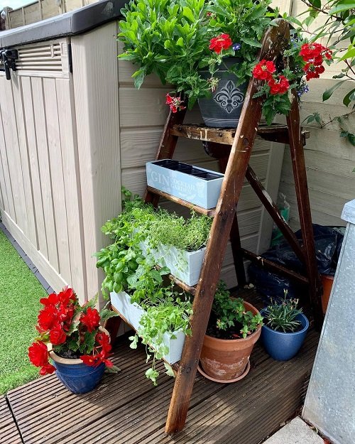 Ladder Herb Garden Ideas