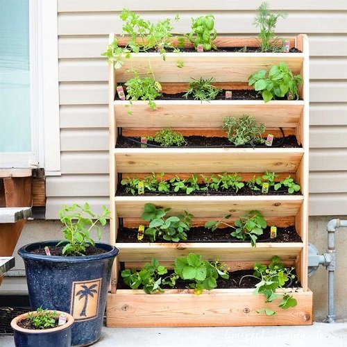 Ladder Herb Garden Ideas 9