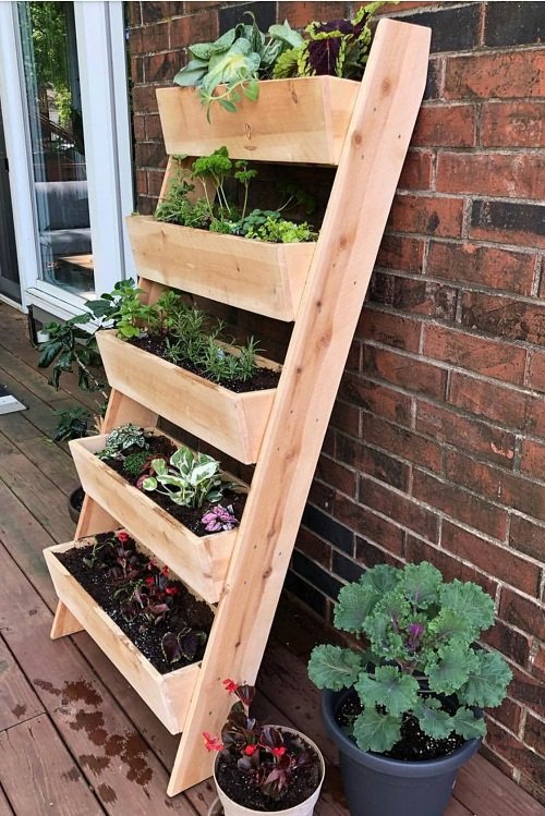 Ladder Herb Garden Ideas in front door