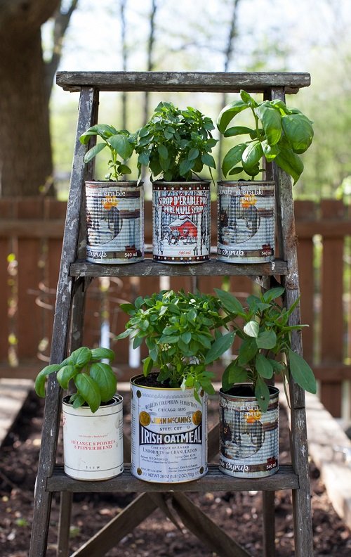 Ladder Herb Garden Ideas 6