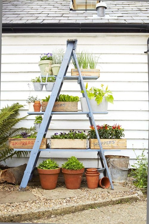 Ladder Herb Garden Ideas in yard