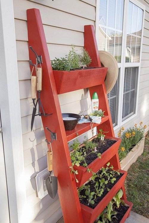 Ladder Herb Garden Ideas in door