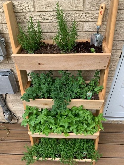Ladder Herb Garden Ideas 