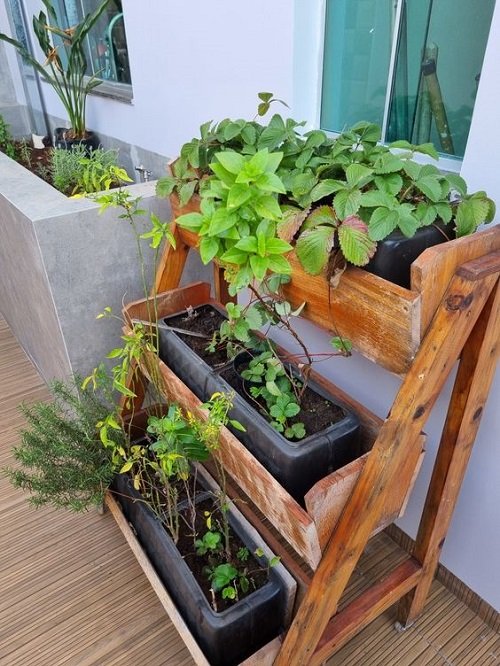Ladder Herb Garden Ideas in garden 