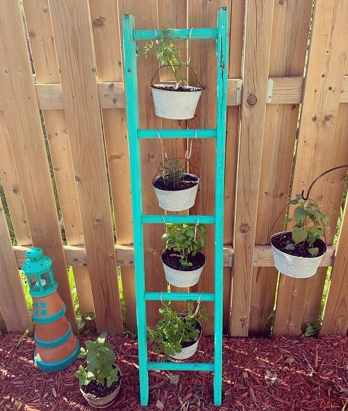 Ladder Herb Garden Ideas 3