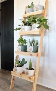 24 Ladder Herb Garden Ideas | Balcony Garden Web