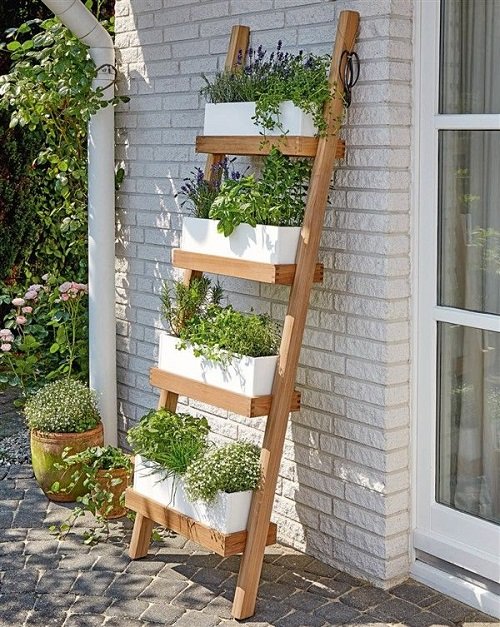 near window Ladder Herb Garden Ideas
