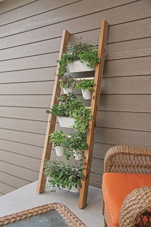 Ladder Herb Garden Ideas near couch