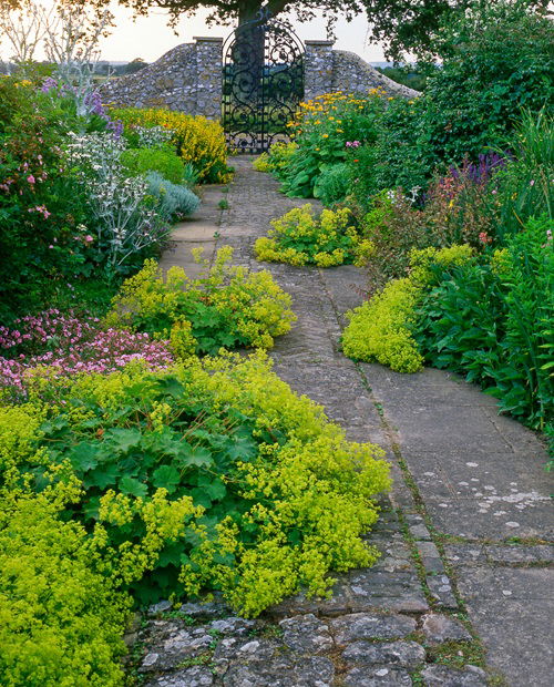 Beautiful Plants for Pathways 