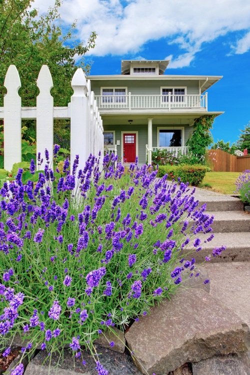 The Best Vegetables for Curb Appeal 4