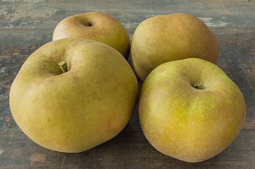 Sweet Apple Varieties 6