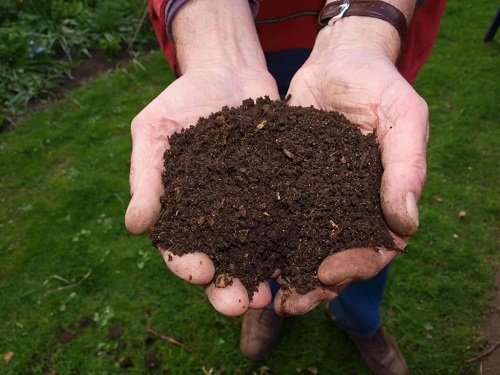 Signs that Show Your Soil is Bad