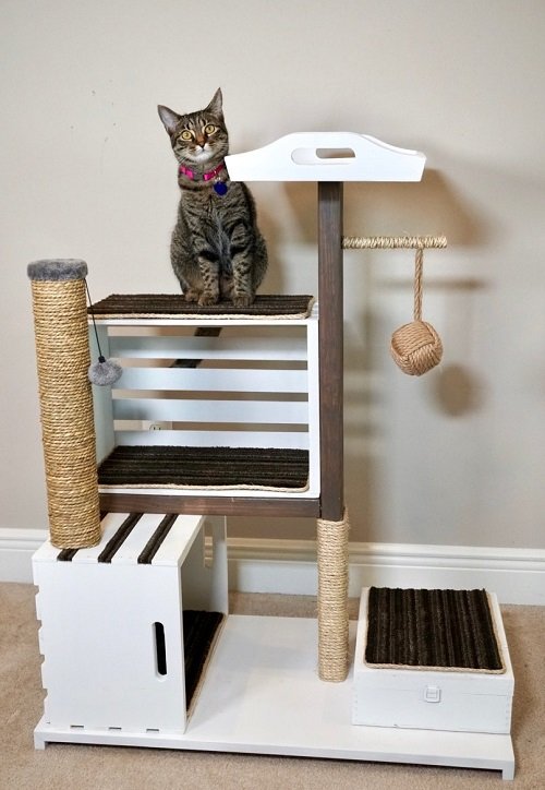 Fantastic DIY Cat Room Ideas You Must Try 9