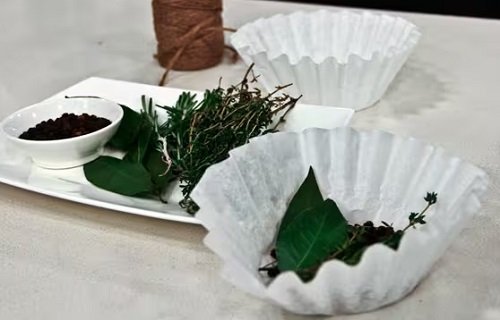 Coffee Filter Uses in the Garden