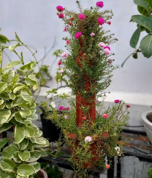 Ideas for Building a Diy Vertical Plant Tower