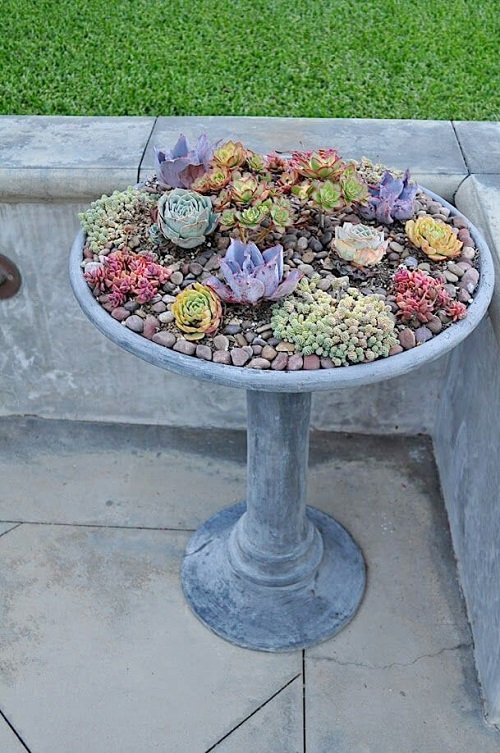 A Tall Bowl of Succulents At the Entrance