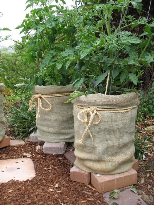 Burlap Planter with Rope and Trellis