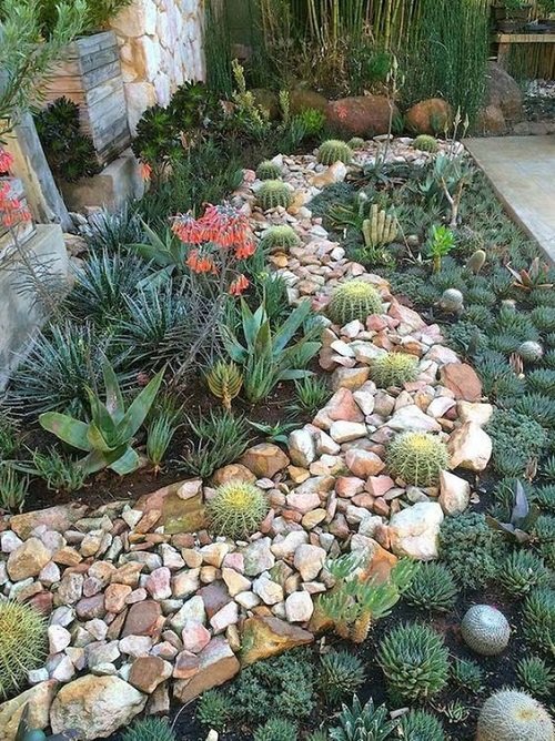 Rocky Pathway with Dark Green Succulents