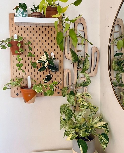 Indoor Plant Support Ideas 1