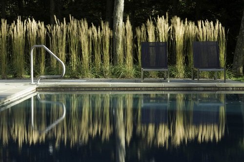 Grass Privacy Screen for Pool