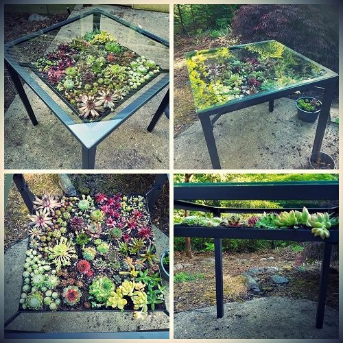 Fantastic Plant Table Ideas 2
