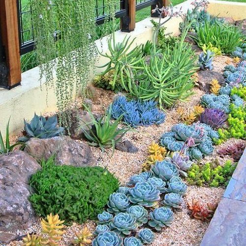 A Vibrant and Colorful Garden Bed