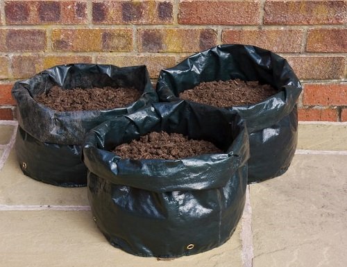 12 DIY Potato Pots to Grow Potatoes Without Digging 4