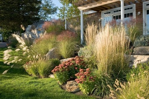 Tall Grass Privacy Ideas You Must Try 21