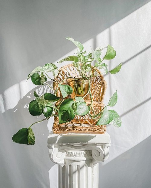 33 Cool DIY Antique and Vintage Plant Stand Ideas 12