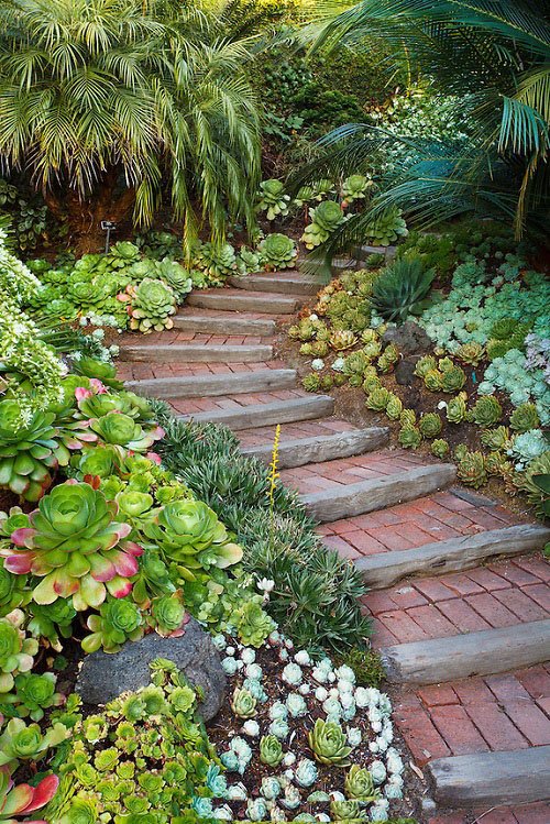 Staircase to Succulent Heaven