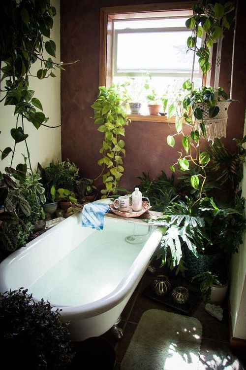 A Lush Bathroom with Hanging Vines