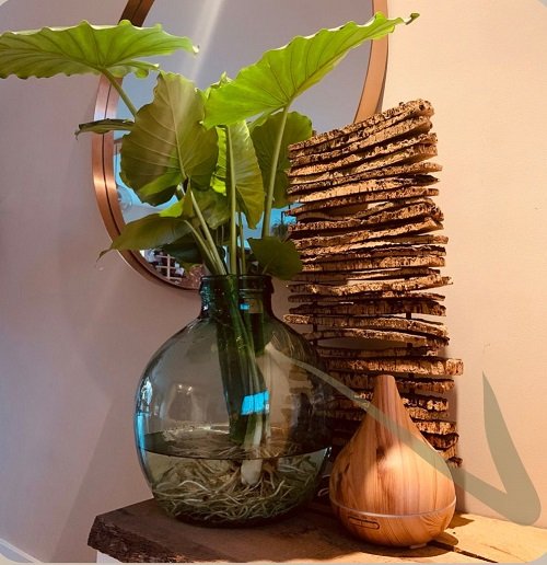 Glass Vase on the Shelf with a Bark-piece Tower