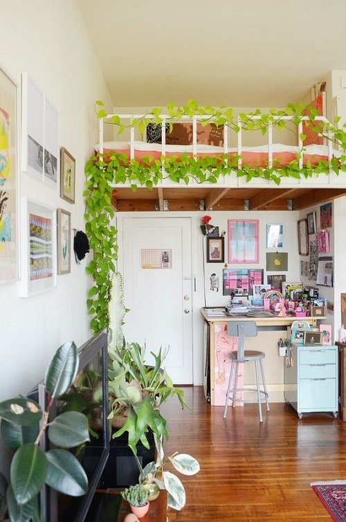 Hanging Indoor Vine Garden Ideas 23
