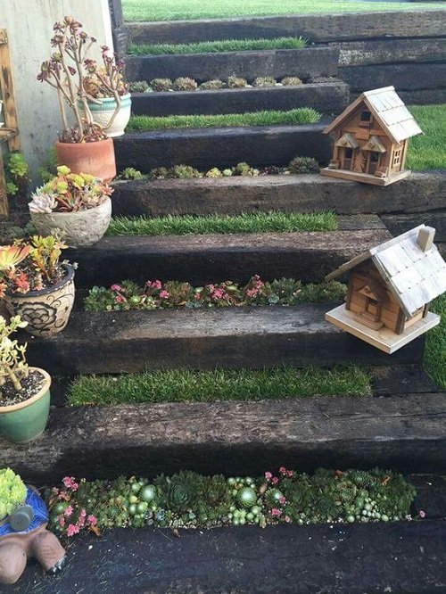 Succulent Pots and Bird Houses on the Steps