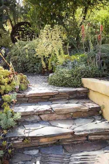 30 Succulents on the Steps, Crevices, and Pathways Ideas