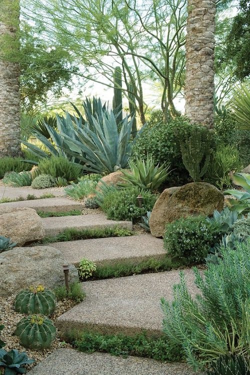 Desert Staircase with Agave and Cacti