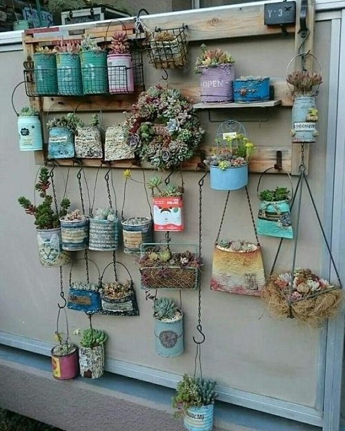 Succulents Planted in Kitchen Items Ideas 2