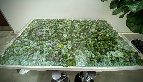 Fantastic Plant Table Ideas 9