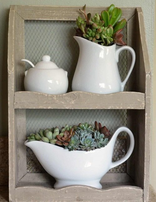 Succulents Planted in Kitchen Items Ideas 6