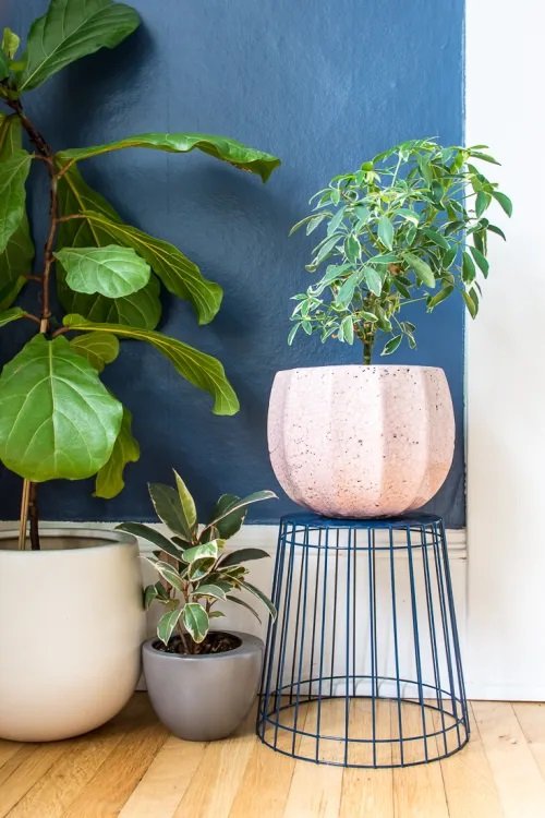 33 Cool DIY Antique and Vintage Plant Stand Ideas 3